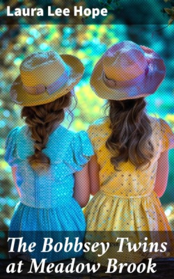 The Bobbsey Twins at Meadow Brook