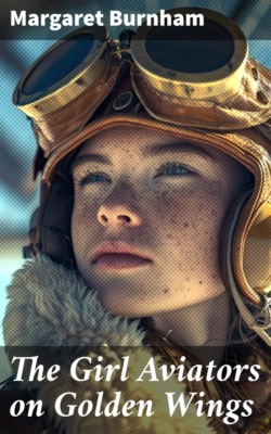 The Girl Aviators on Golden Wings