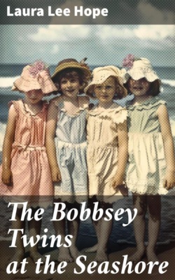 The Bobbsey Twins at the Seashore