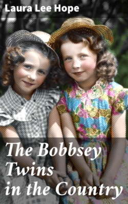 The Bobbsey Twins in the Country