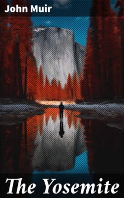 The Yosemite