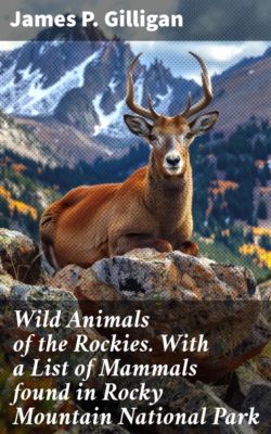 Wild Animals of the Rockies. With a List of Mammals found in Rocky Mountain National Park