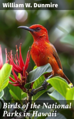 Birds of the National Parks in Hawaii
