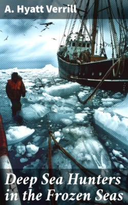 Deep Sea Hunters in the Frozen Seas