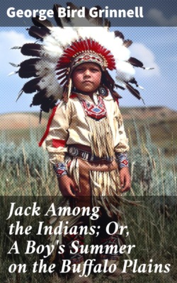 Jack Among the Indians; Or, A Boy's Summer on the Buffalo Plains
