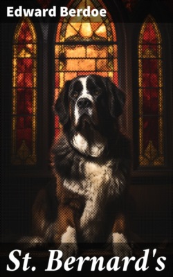 St. Bernard's