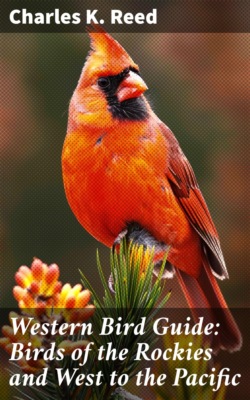 Western Bird Guide: Birds of the Rockies and West to the Pacific