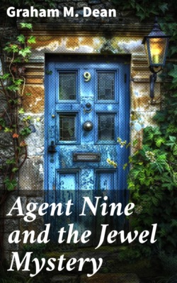 Agent Nine and the Jewel Mystery