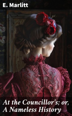 At the Councillor's; or, A Nameless History