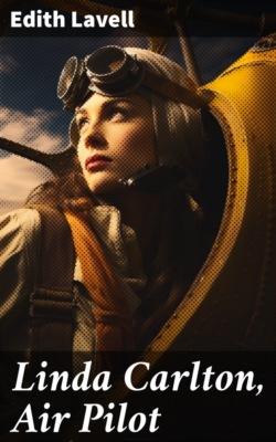 Linda Carlton, Air Pilot