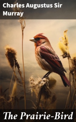 The Prairie-Bird
