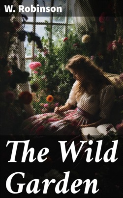 The Wild Garden