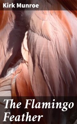 The Flamingo Feather