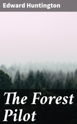The Forest Pilot