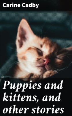Puppies and kittens, and other stories
