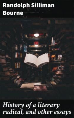 History of a literary radical, and other essays