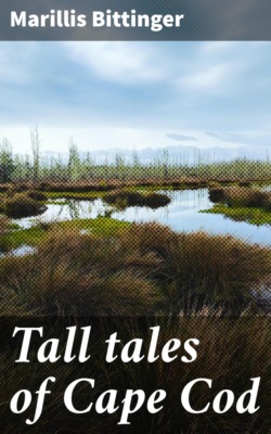 Tall tales of Cape Cod