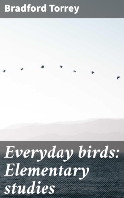Everyday birds: Elementary studies