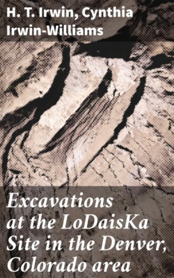 Excavations at the LoDaisKa Site in the Denver, Colorado area
