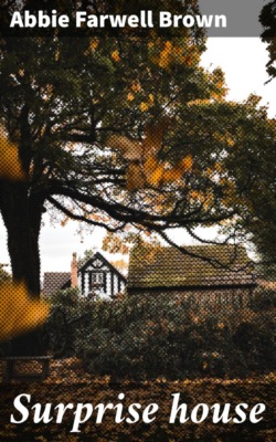 Surprise house