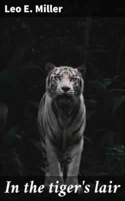 In the tiger's lair