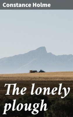 The lonely plough