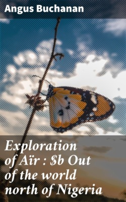 Exploration of Aïr : Out of the world north of Nigeria