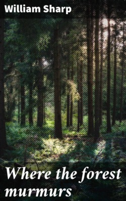 Where the forest murmurs