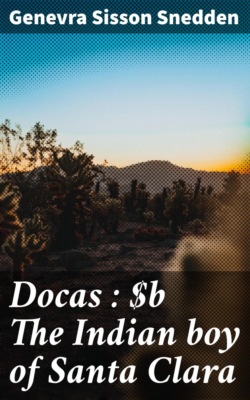 Docas : The Indian boy of Santa Clara