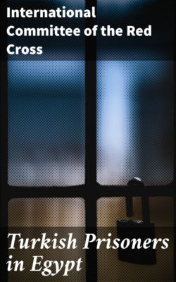 Turkish Prisoners in Egypt