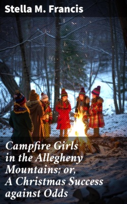 Campfire Girls in the Allegheny Mountains; or, A Christmas Success against Odds