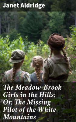 The Meadow-Brook Girls in the Hills; Or, The Missing Pilot of the White Mountains