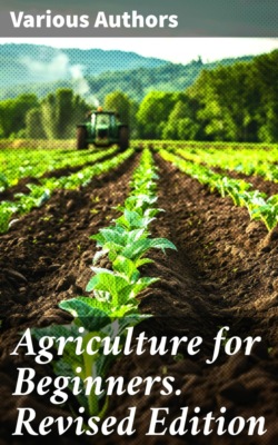 Agriculture for Beginners. Revised Edition