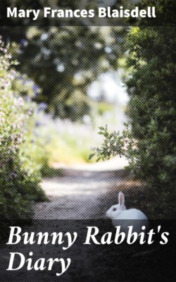 Bunny Rabbit's Diary