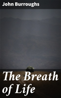 The Breath of Life