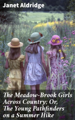 The Meadow-Brook Girls Across Country; Or, The Young Pathfinders on a Summer Hike