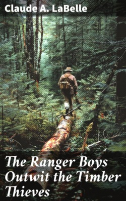 The Ranger Boys Outwit the Timber Thieves