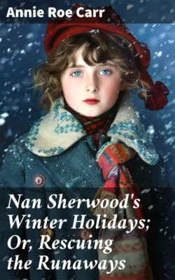 Nan Sherwood's Winter Holidays; Or, Rescuing the Runaways