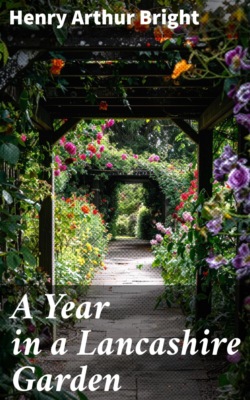 A Year in a Lancashire Garden