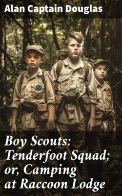 Boy Scouts: Tenderfoot Squad; or, Camping at Raccoon Lodge