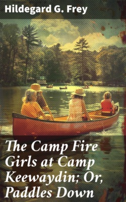 The Camp Fire Girls at Camp Keewaydin; Or, Paddles Down
