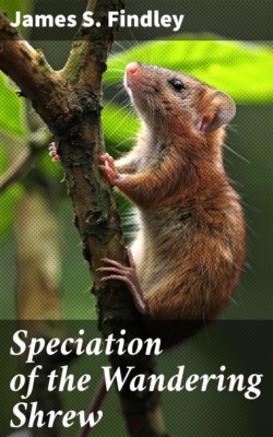 Speciation of the Wandering Shrew