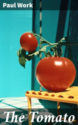 The Tomato