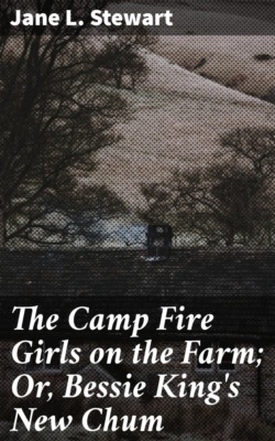 The Camp Fire Girls on the Farm; Or, Bessie King's New Chum