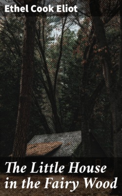 The Little House in the Fairy Wood