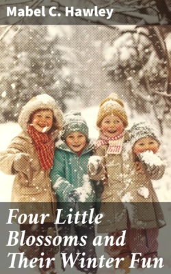Four Little Blossoms and Their Winter Fun