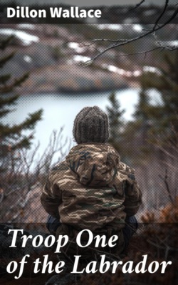 Troop One of the Labrador