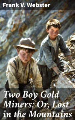 Two Boy Gold Miners; Or, Lost in the Mountains