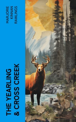 The Yearling & Cross Creek