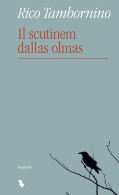 Il scutinem dallas olmas